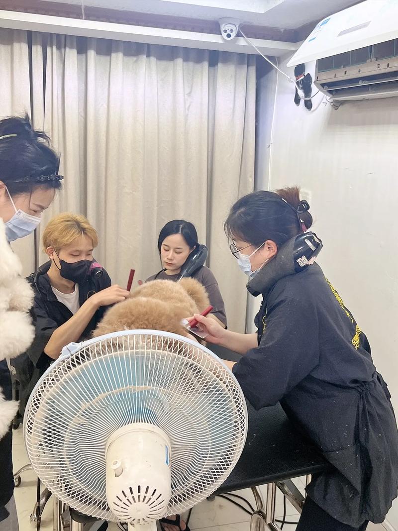 今天撸一个大宝贝 团宠巨贵宝的日常